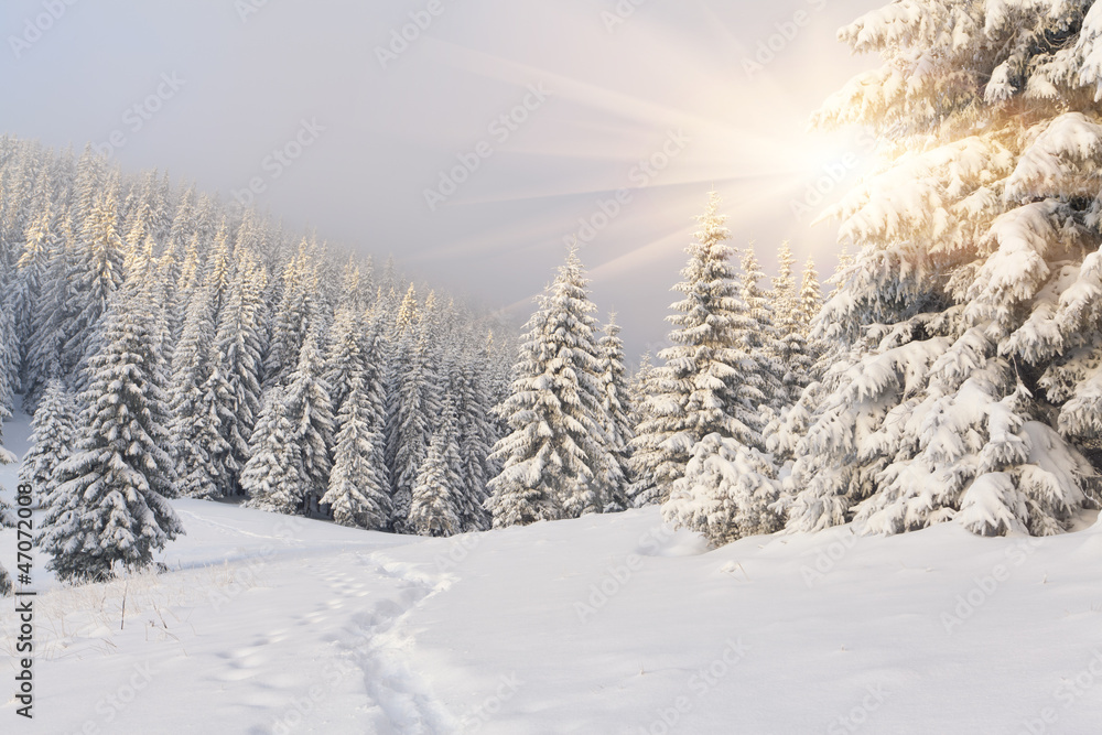 Obraz Dyptyk Beautiful winter landscape in