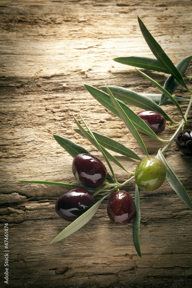 Obraz Kwadryptyk olives