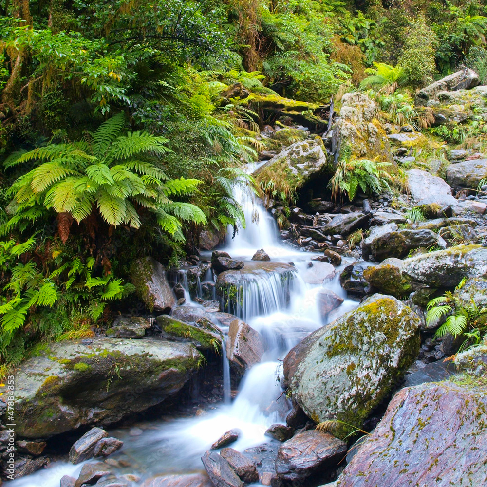 Fototapeta Waterfall in lush rain forest