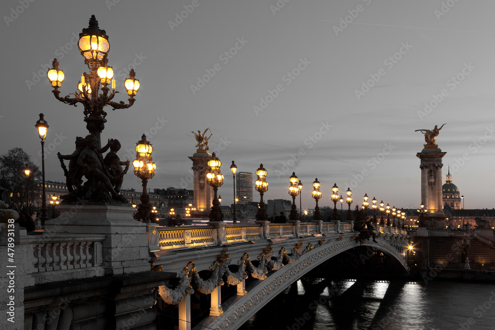 Fototapeta Alexander III bridge, Paris,
