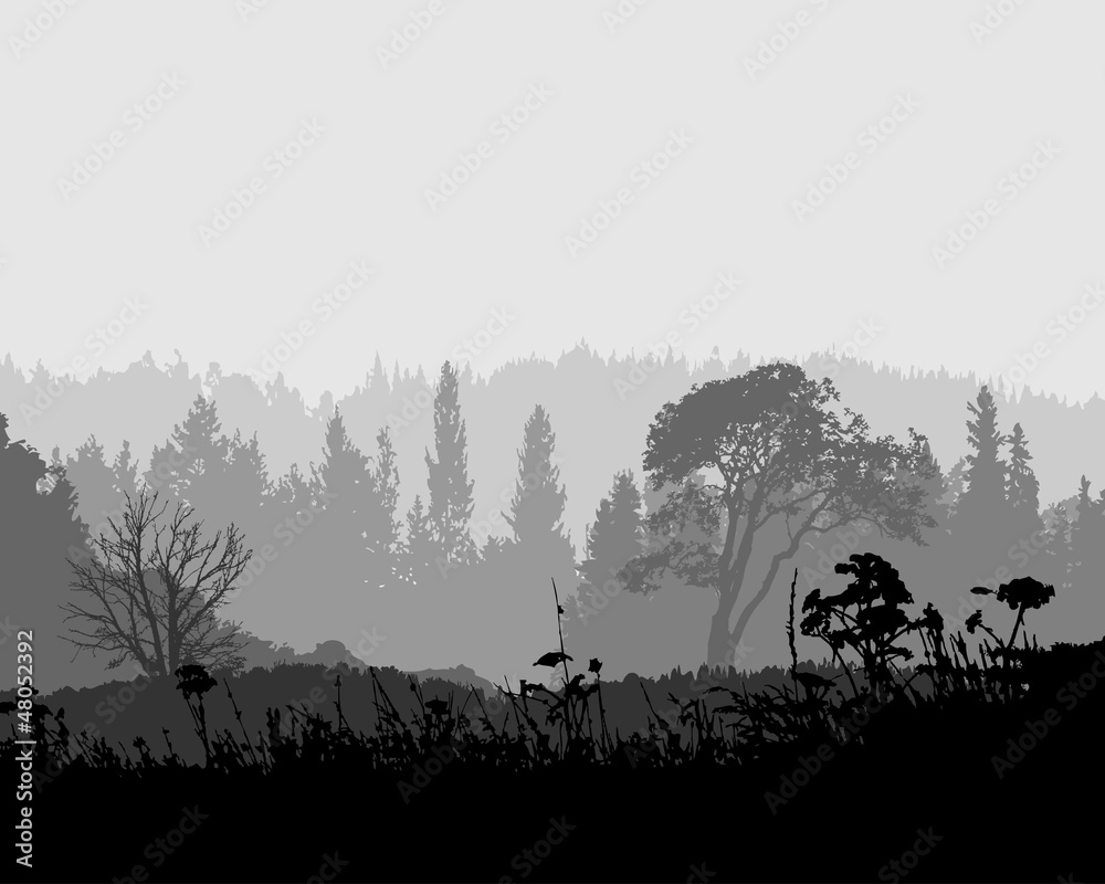 Obraz Pentaptyk mysterious forest