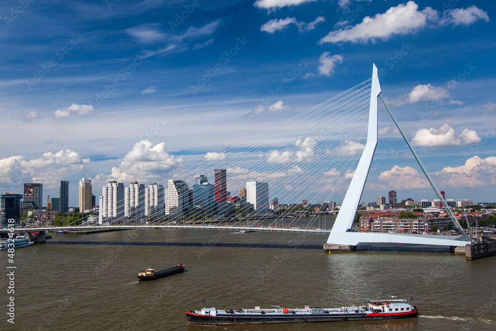 Fototapeta Erasmus Bridge in  Rotterdam