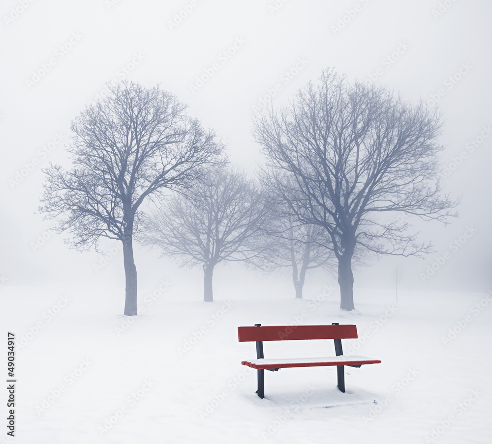 Obraz na płótnie Winter trees and bench in fog