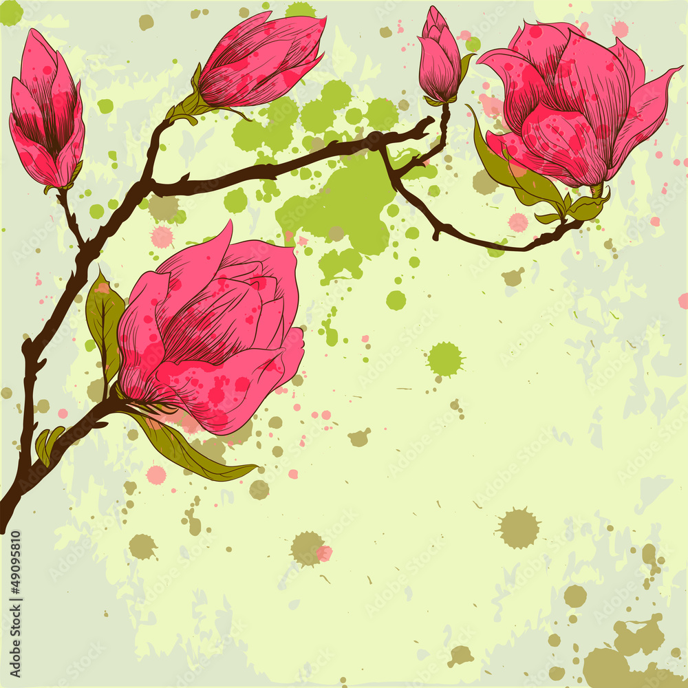 Fototapeta Spring background with