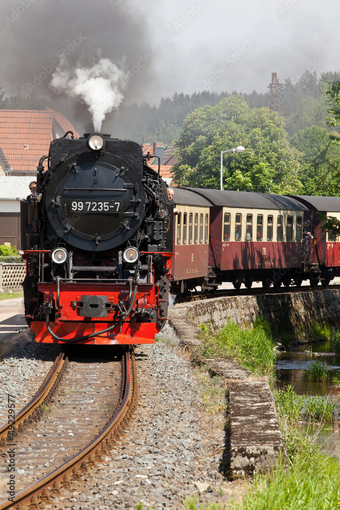Fototapeta Selketalbahn Harz