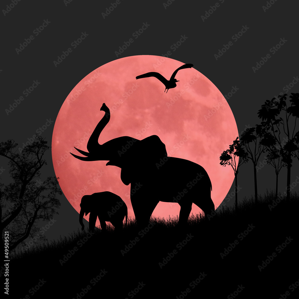 Obraz Dyptyk Silhouette view of elephants