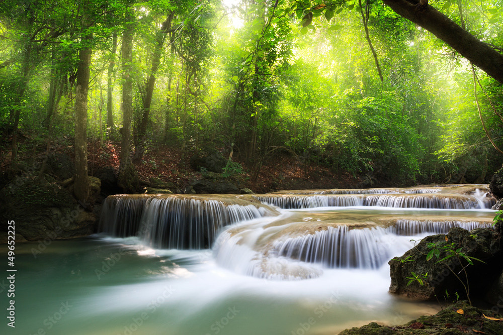 Fototapeta Deep forest waterfall