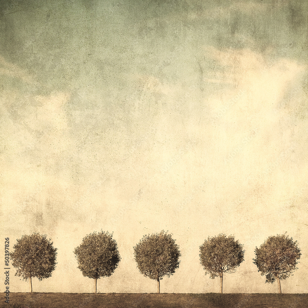Fototapeta grunge image of trees