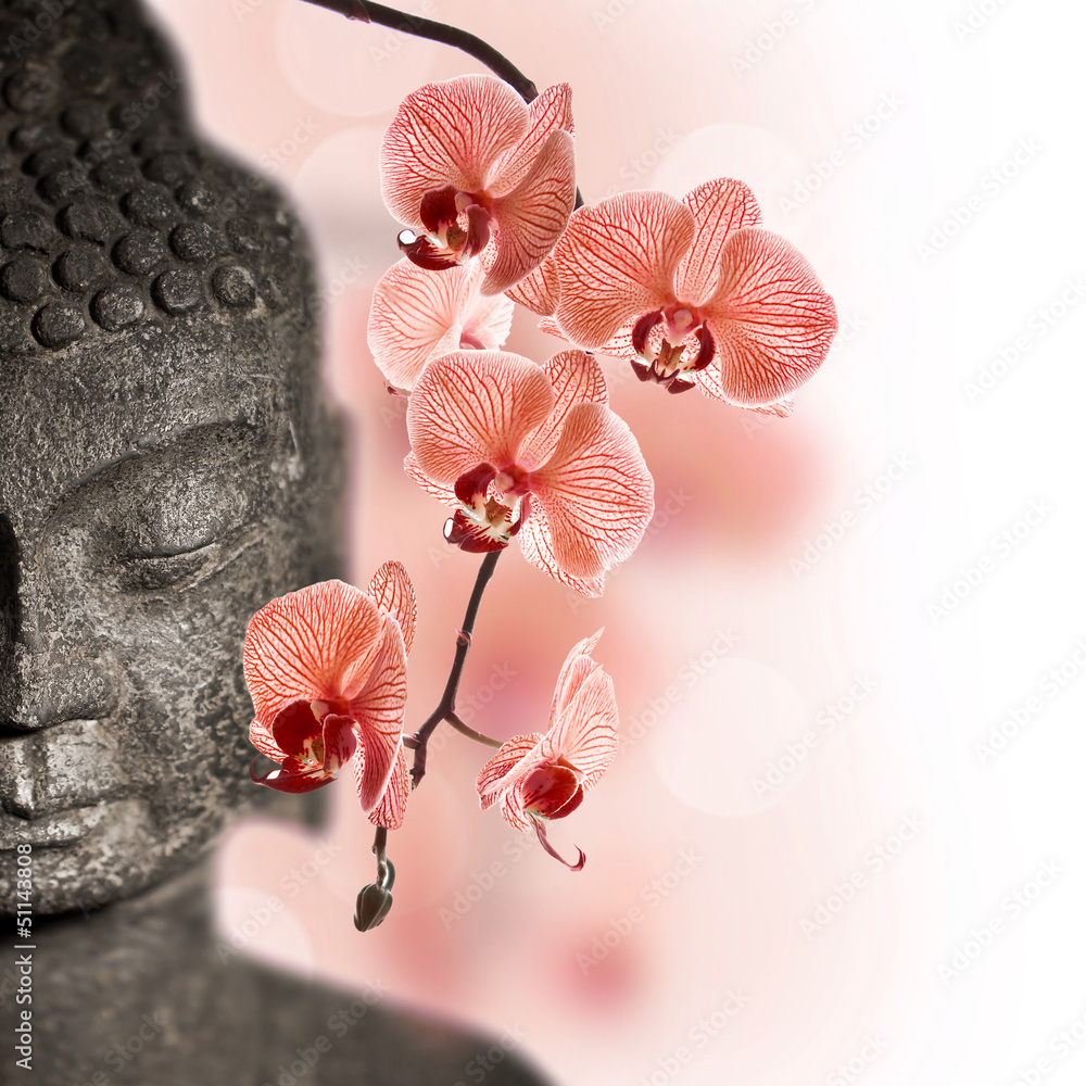 Fototapeta Bouddha et orchidée rouge