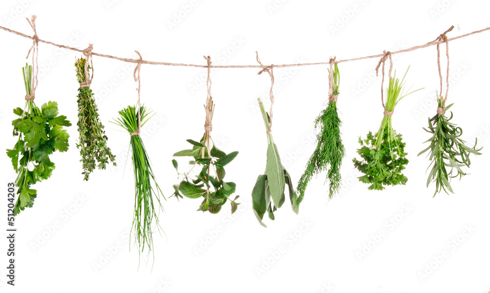 Obraz Pentaptyk Fresh herbs hanging isolated
