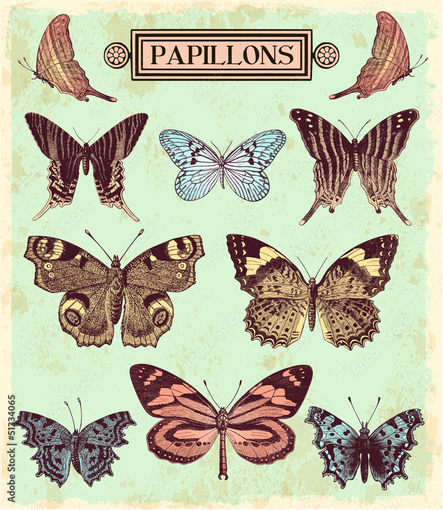 Obraz Kwadryptyk Les papillons