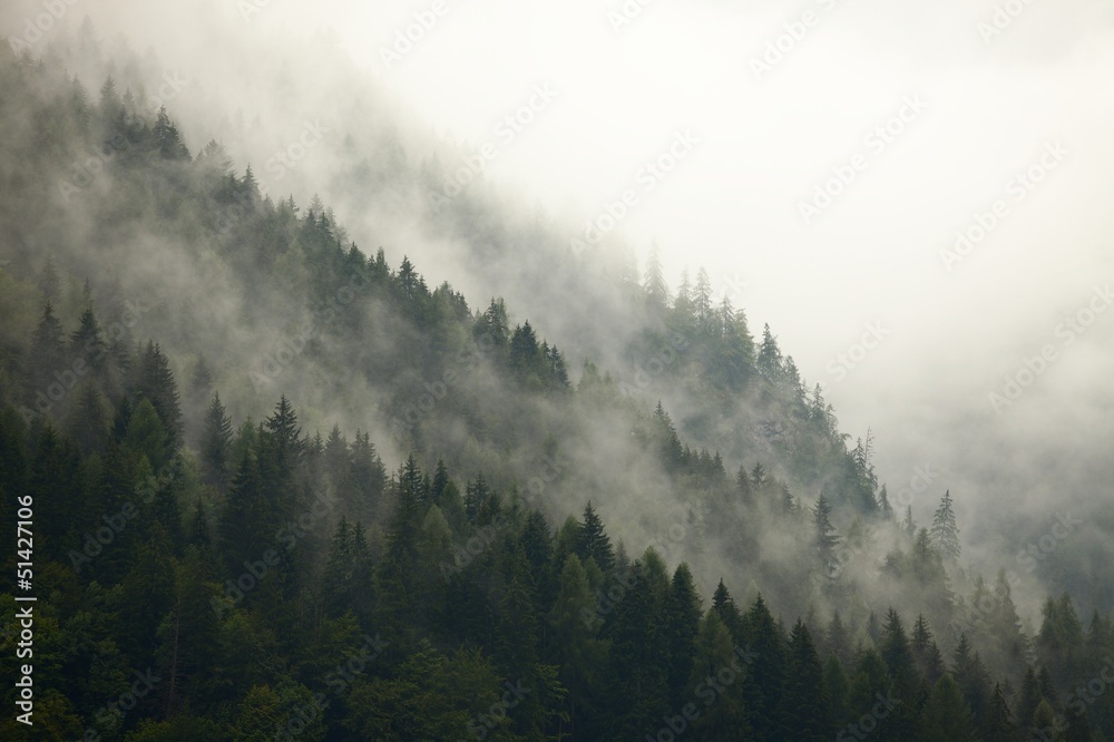 Obraz Kwadryptyk Forest Fog
