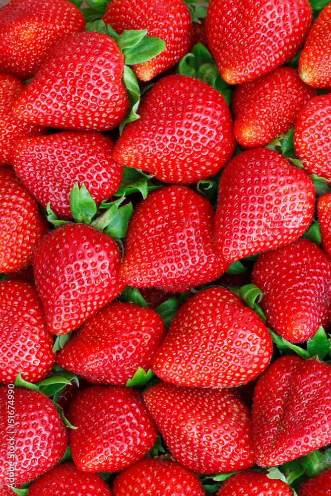 Obraz na płótnie strawberries