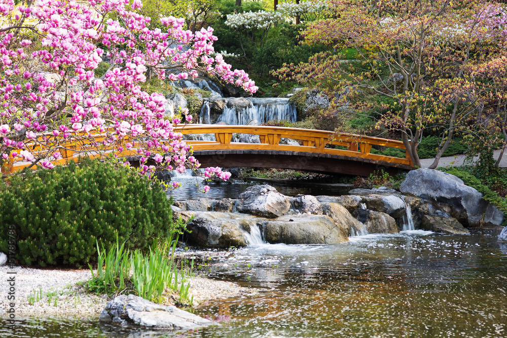 Fototapeta Japanischer Garten im Frühling