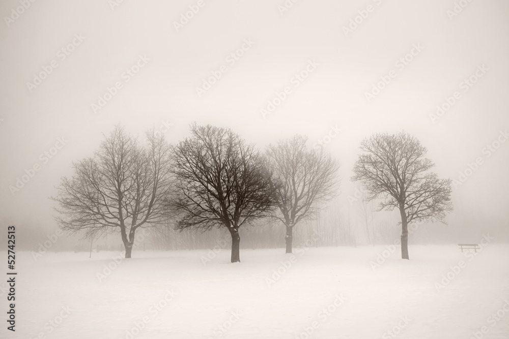 Obraz Pentaptyk Winter trees in fog
