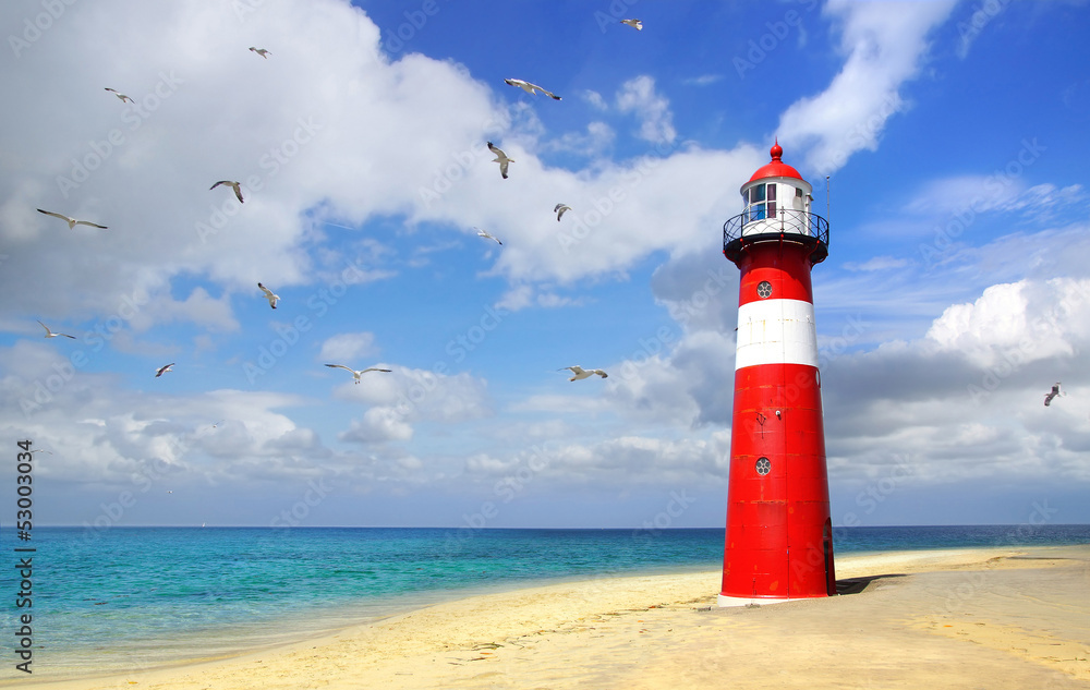 Fototapeta Lighthouse with flying