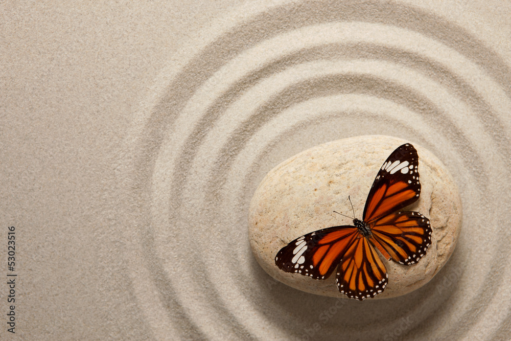 Obraz Tryptyk Zen rock with butterfly