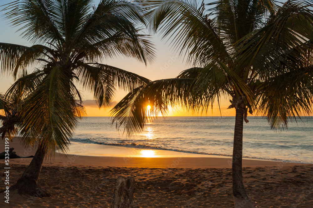 Obraz Pentaptyk sunset beach palm trees waves