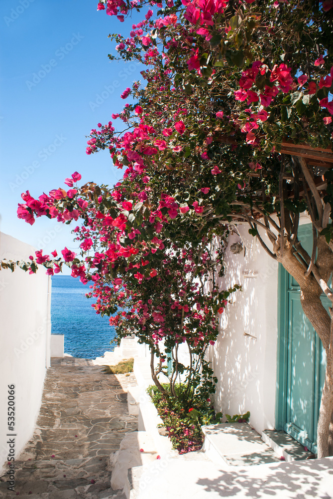 Fototapeta Traditional greek alley on