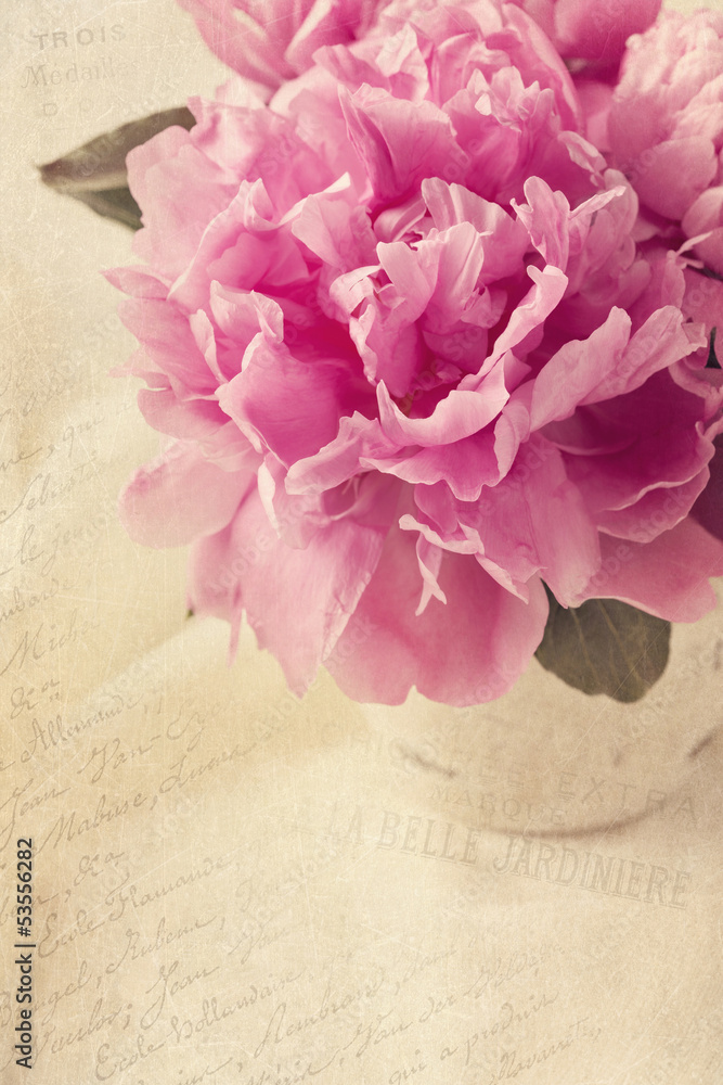 Obraz Tryptyk Peony flowers