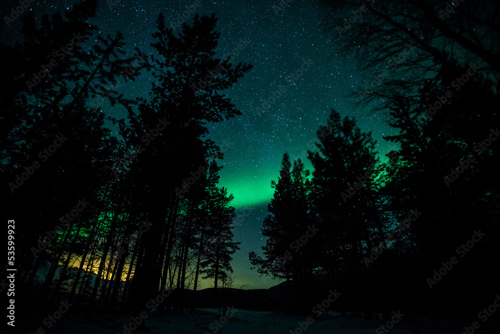 Obraz Tryptyk Northern lights above trees in