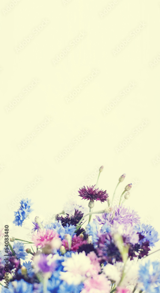 Obraz Pentaptyk summer colorful flowers