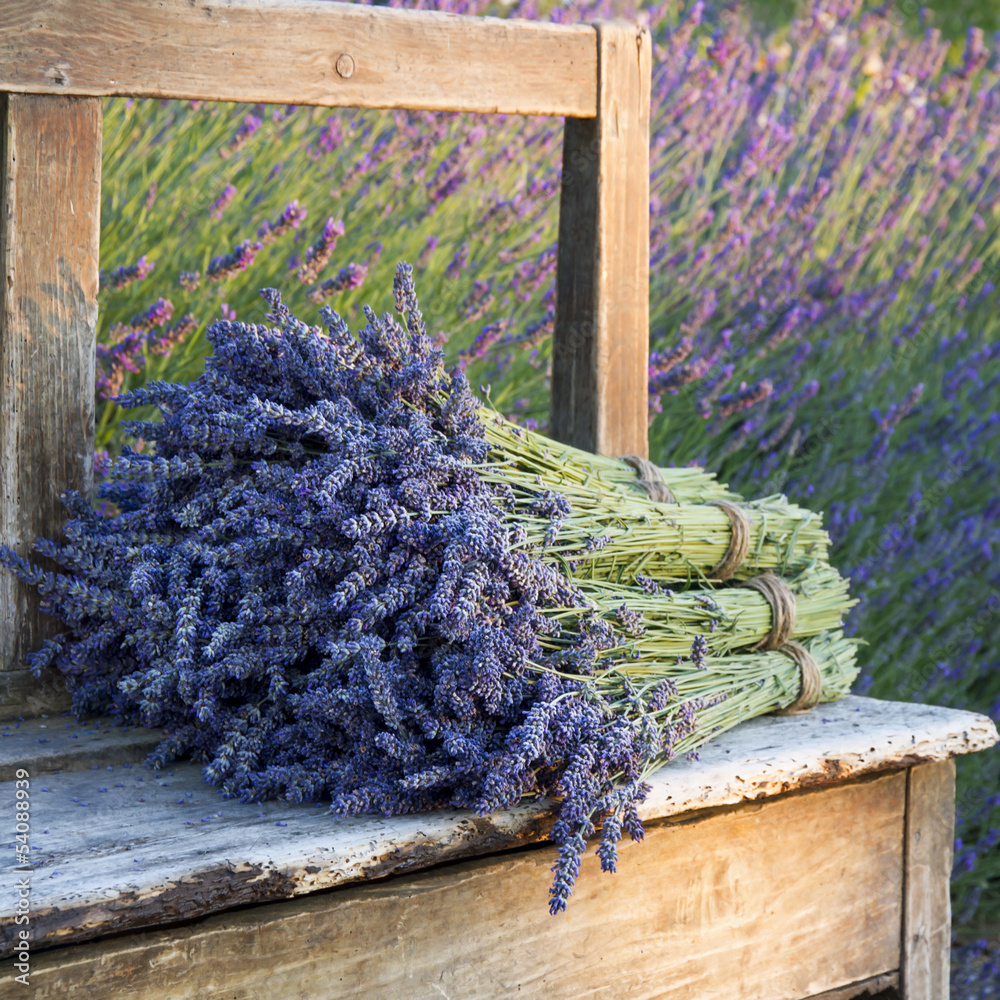 Fototapeta Bouquets on lavenders on a old