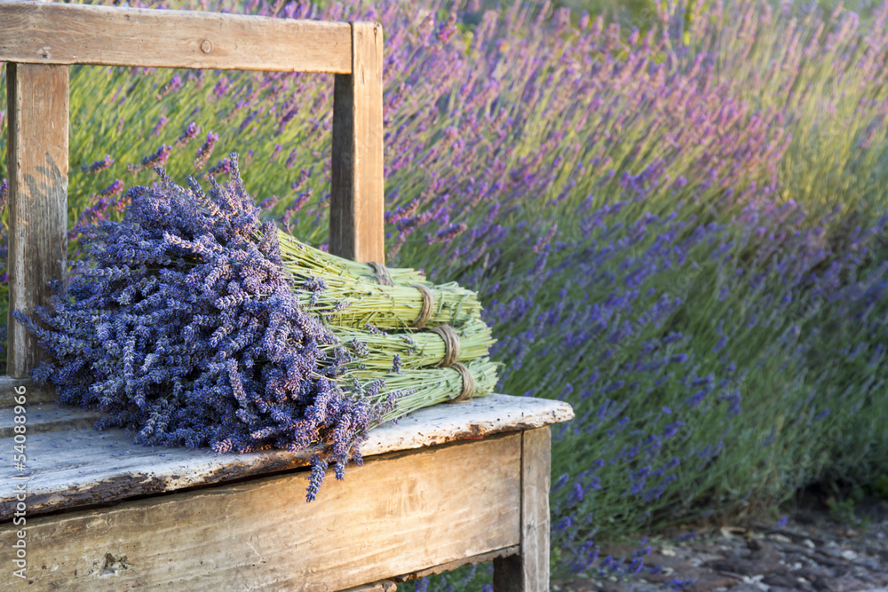 Obraz Tryptyk Bouquets on lavenders on a