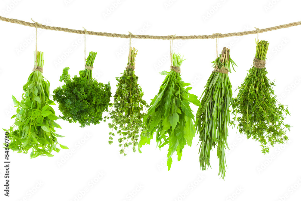 Obraz Tryptyk Set of Spice Herbs / Hanging