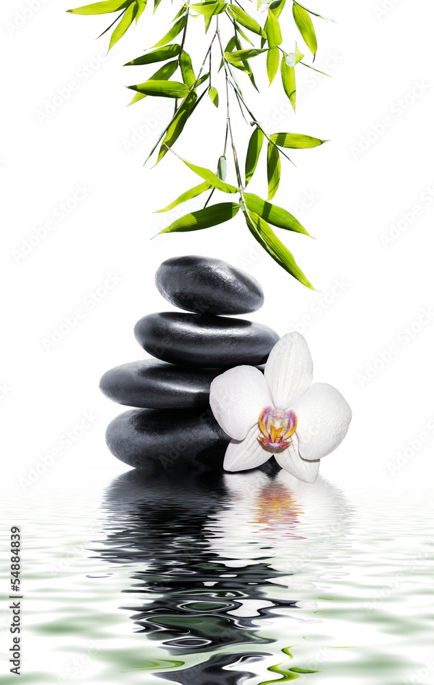 Obraz na płótnie white orchid flower end bamboo