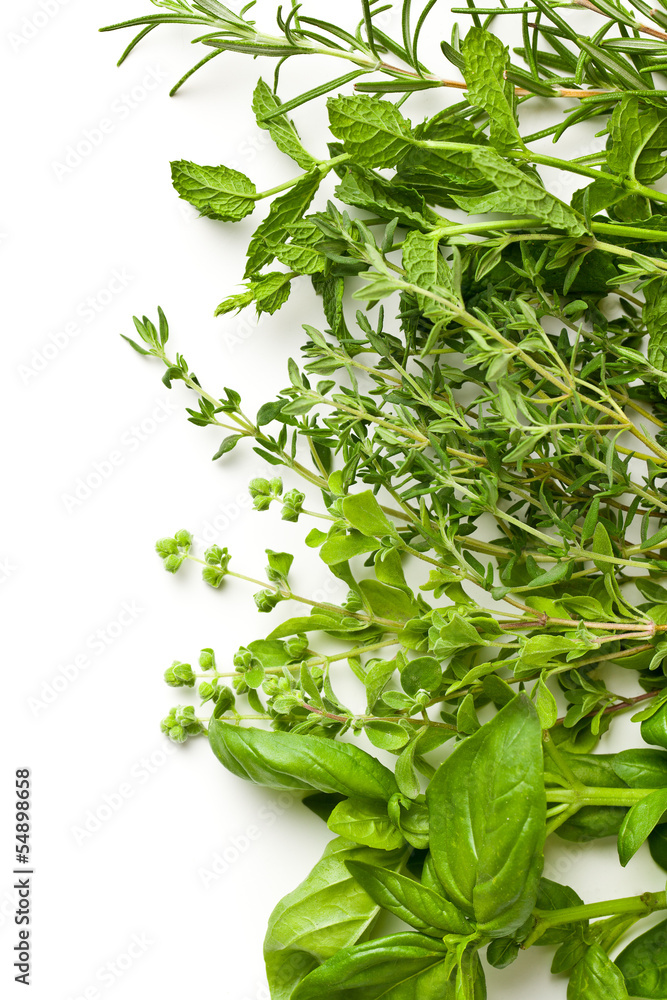 Obraz Tryptyk various herbs