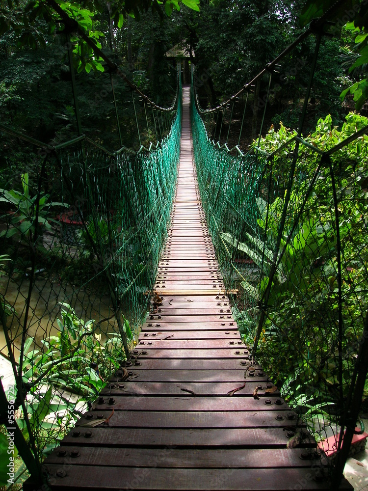 Obraz Dyptyk suspension bridge in the