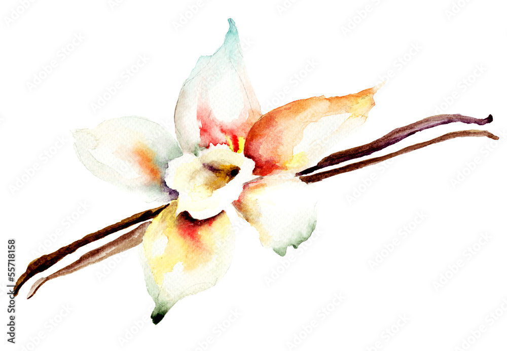 Obraz Tryptyk Vanilla pods and flower