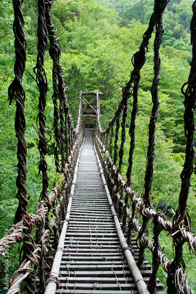 Fototapeta Pont de lianes Kazura-bashi à 