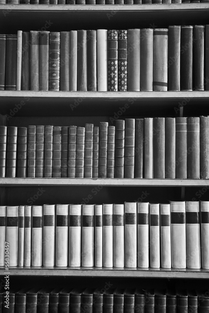 Fototapeta many books