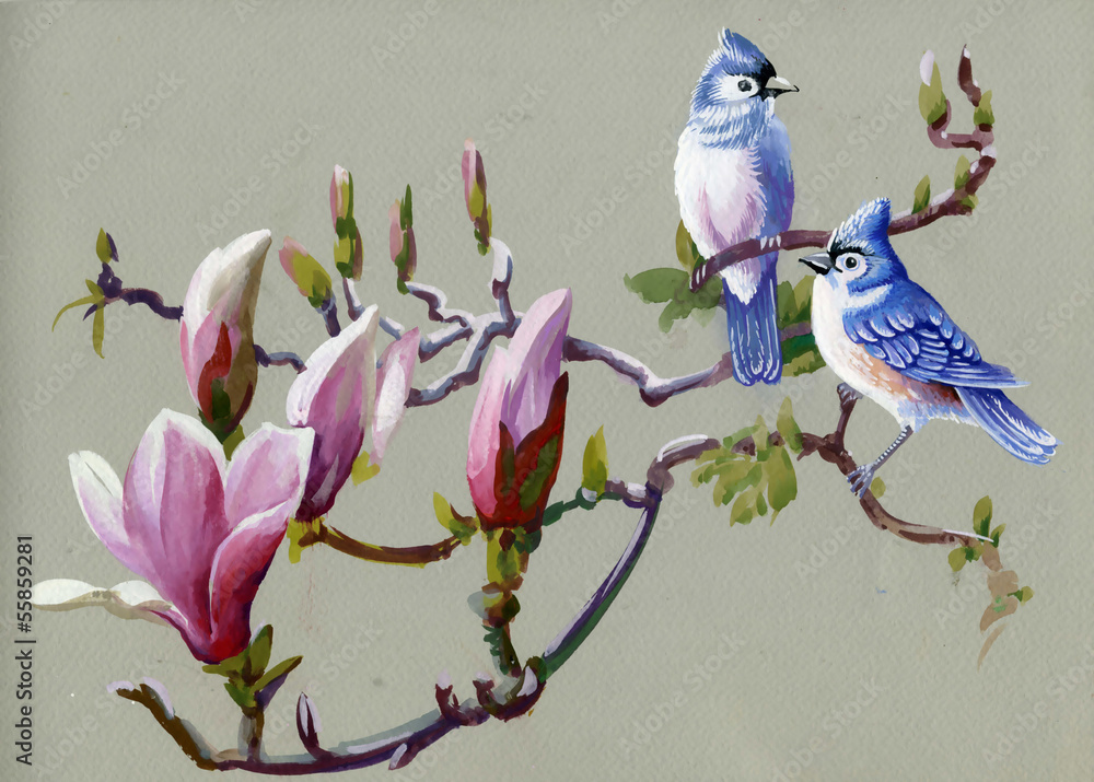 Obraz na płótnie Painting collection Birds of