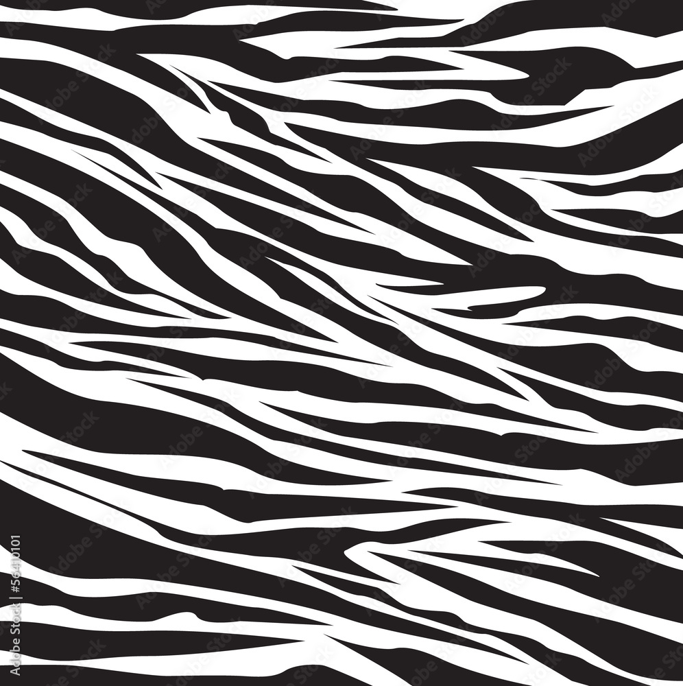 Fototapeta zebra pattern