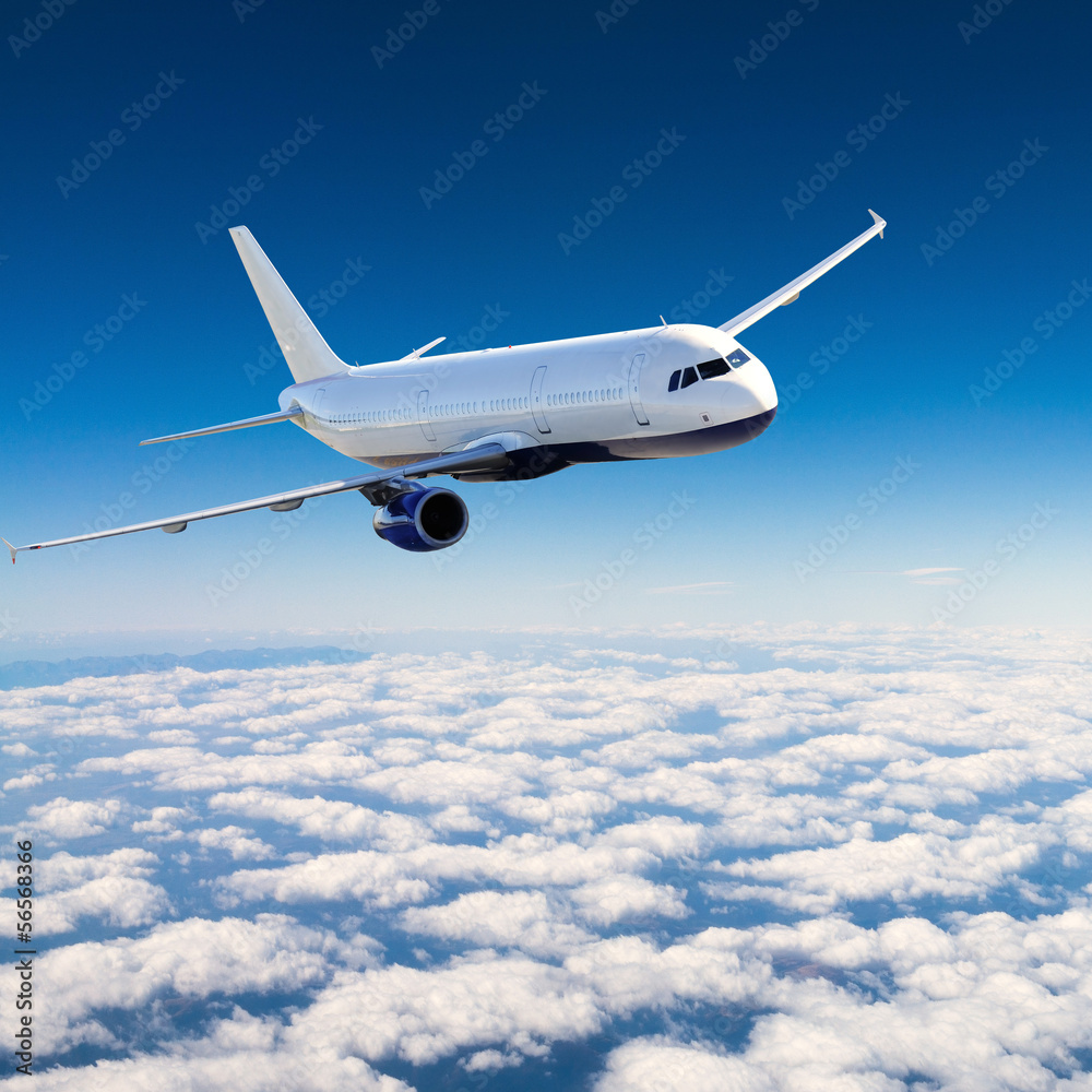 Fototapeta Airplane in the sky -