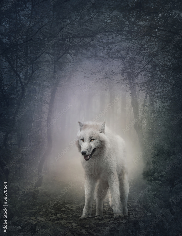 Obraz Pentaptyk White wolf