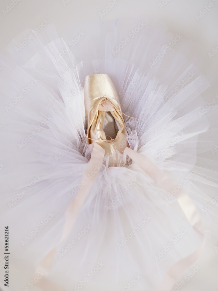 Obraz Tryptyk ballet shoes 1