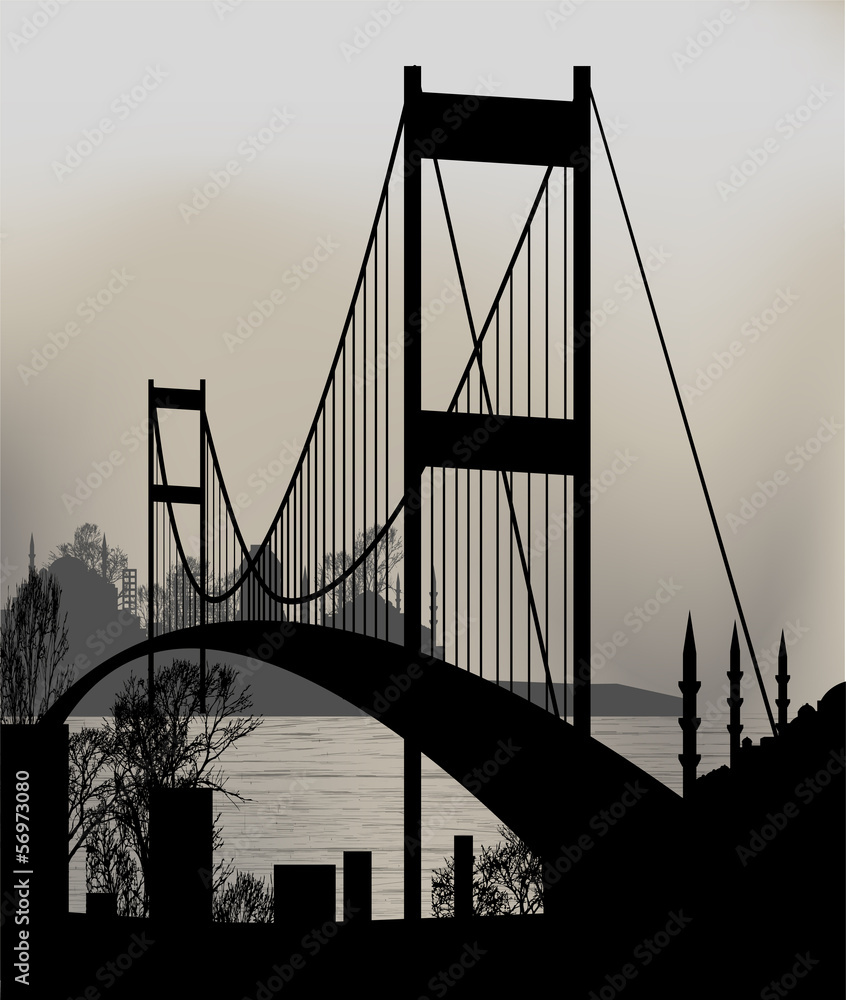 Fototapeta silhouette of Istanbul and the