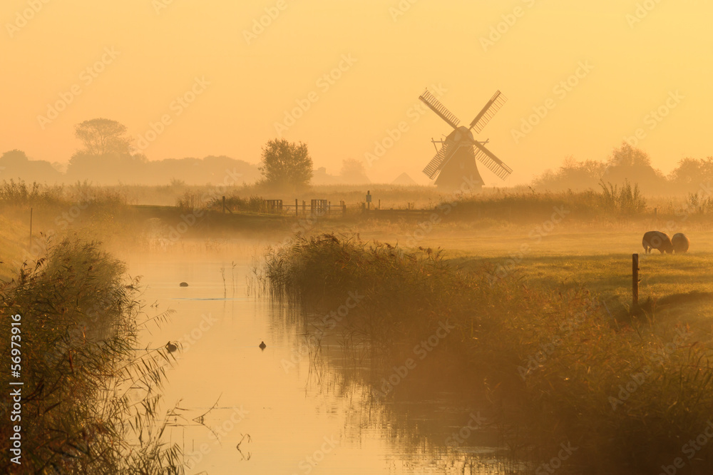 Fototapeta Windmill in the Dutch