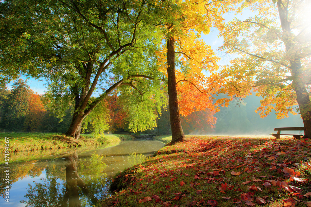 Fototapeta Autumn landscape 