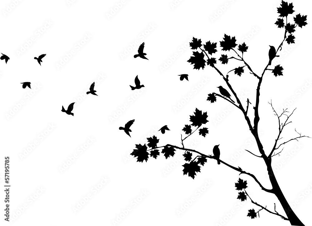 Obraz na płótnie autumn tree silhouette with