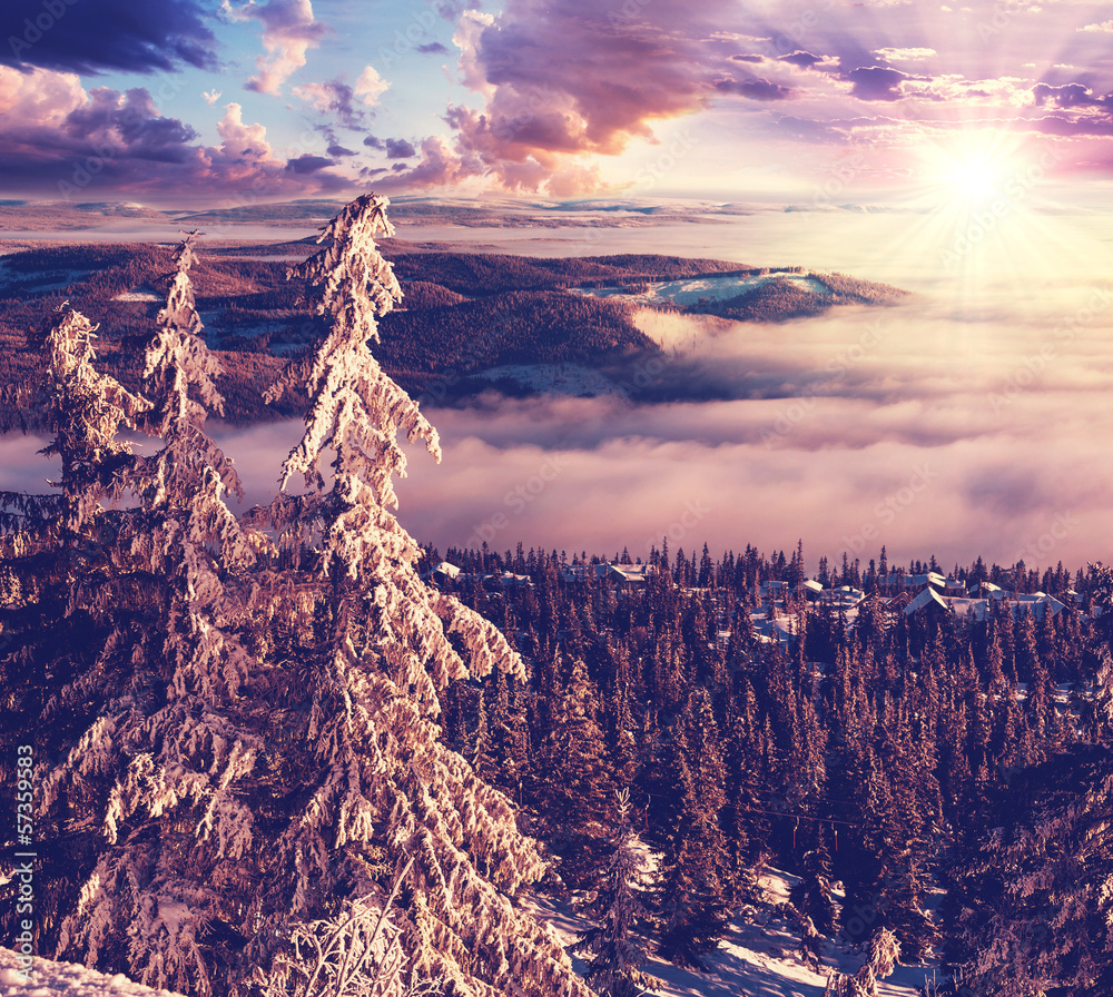 Obraz Tryptyk Winter in Norway