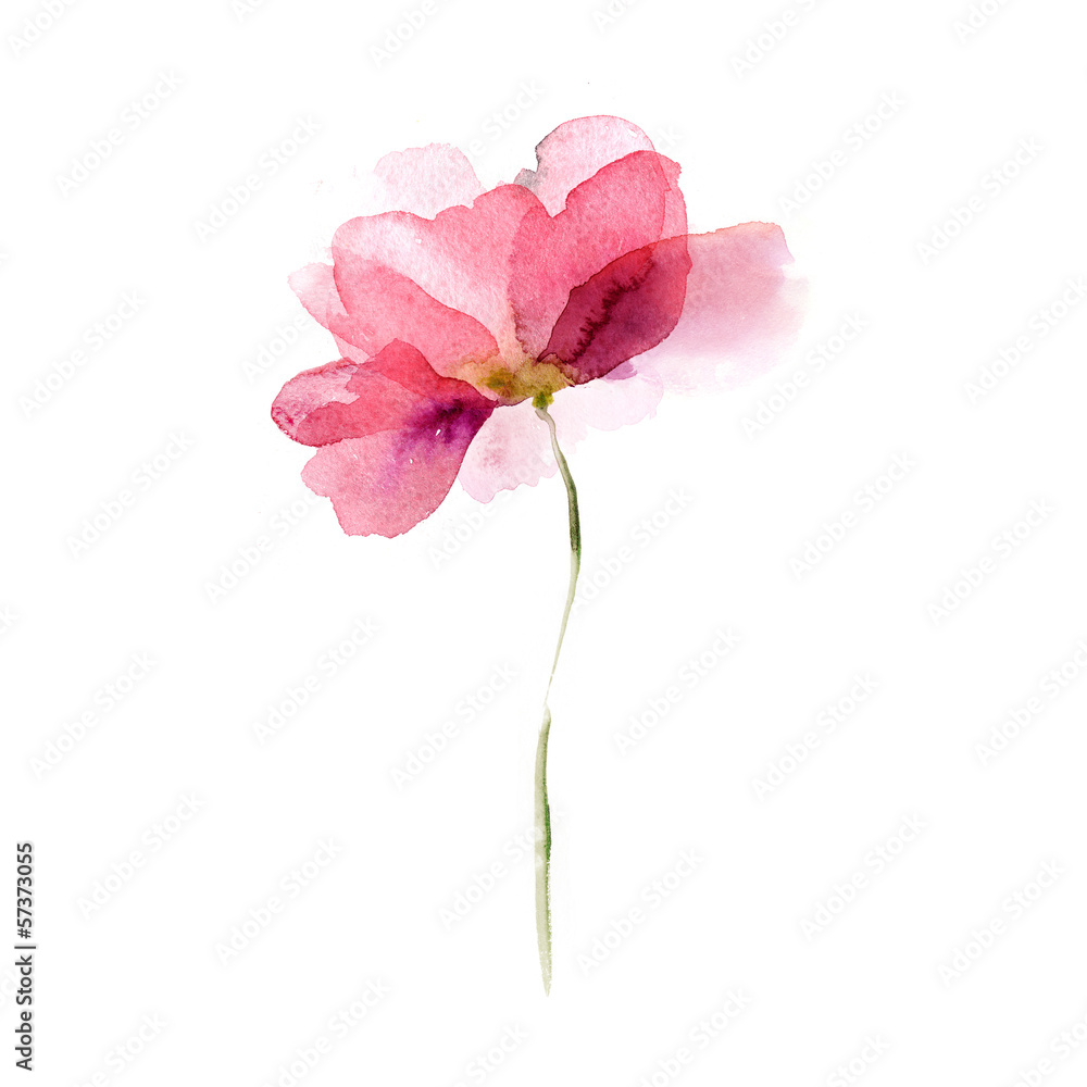 Obraz Pentaptyk Watercolor flower