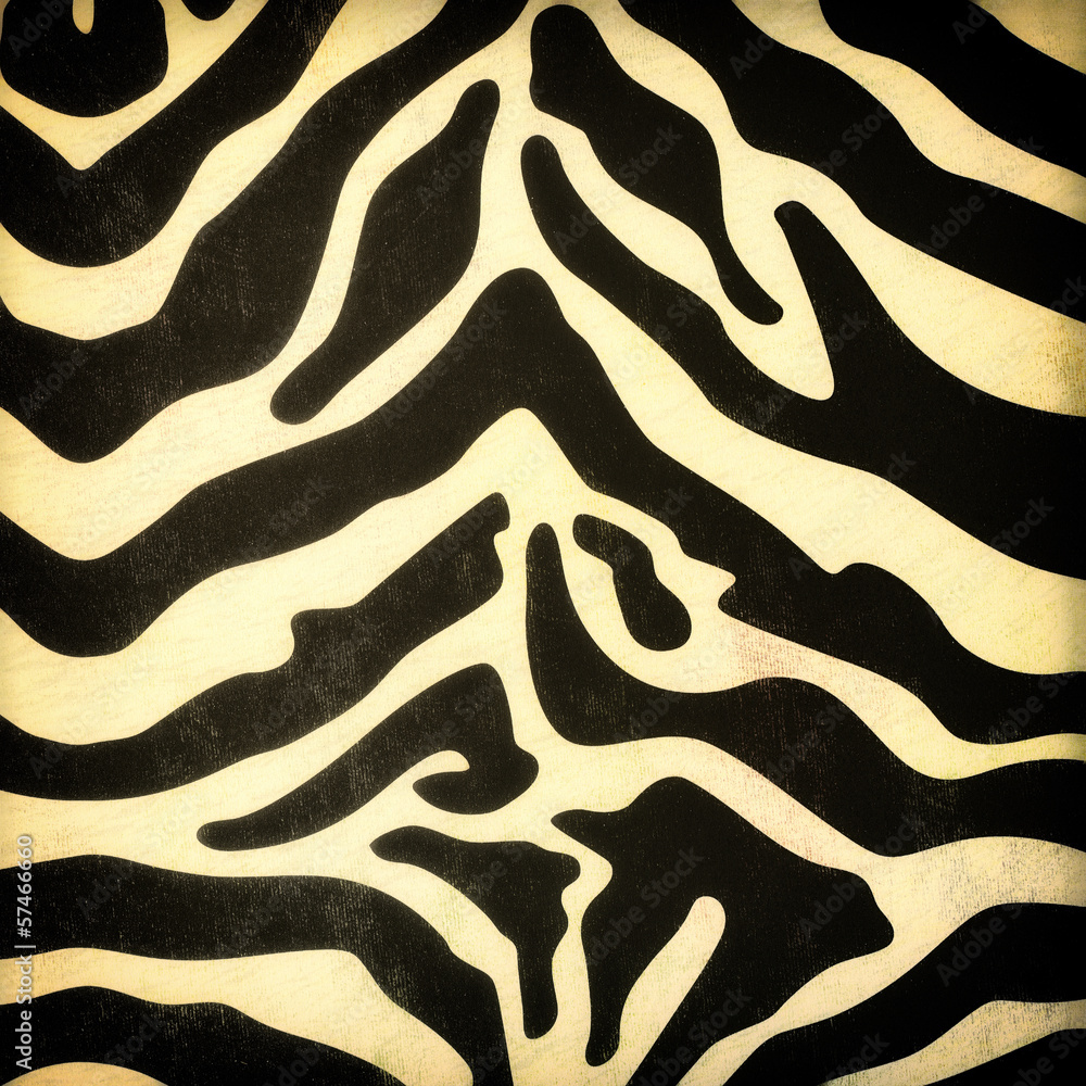 Fototapeta Zebra skin pattern
