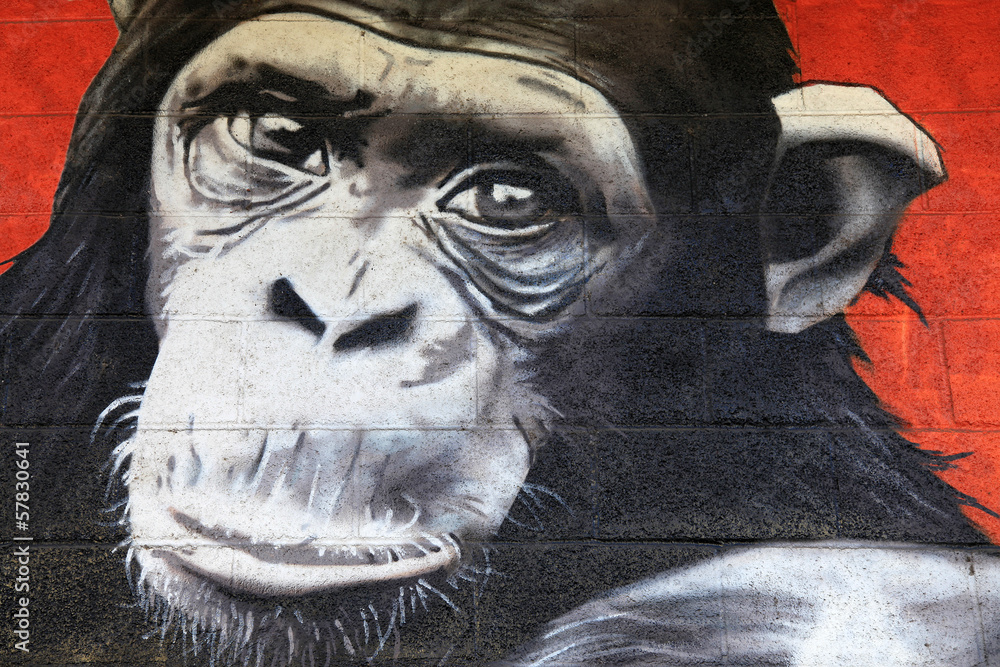 Obraz Pentaptyk chimpanzé graffiti 0527f