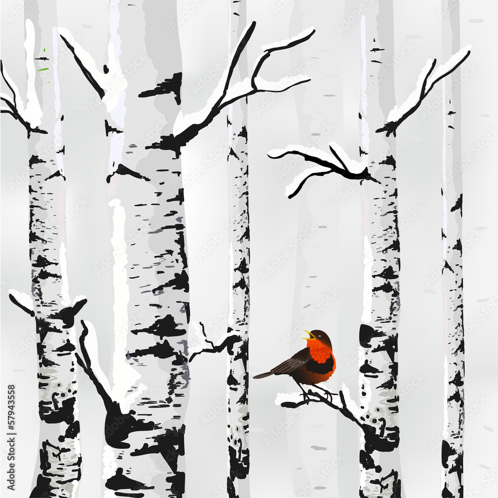 Obraz Tryptyk Birch in snow, winter card in
