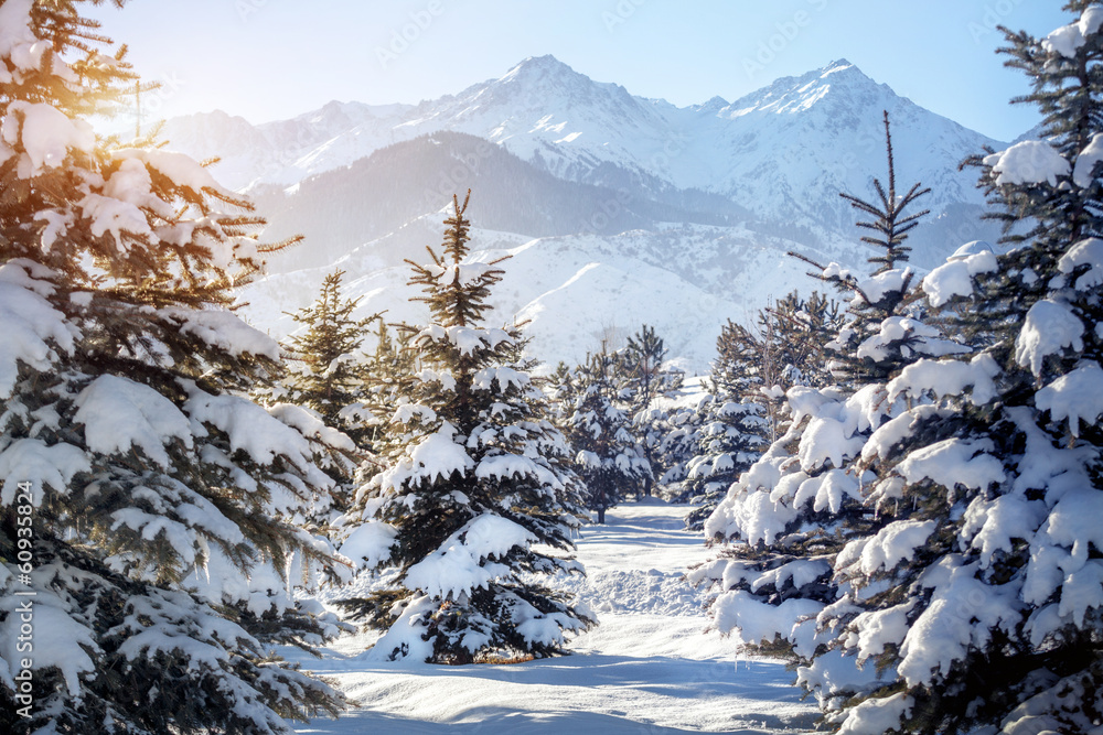 Obraz Kwadryptyk Winter mountain scenery